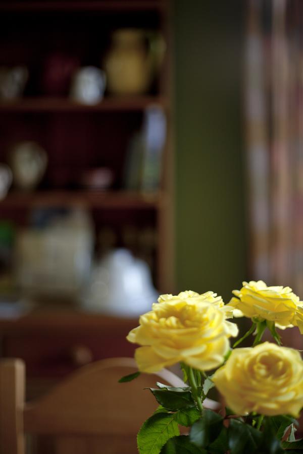 린턴 North Walk House B&B 외부 사진
